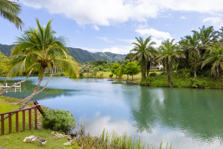 Rose Hall Resorts